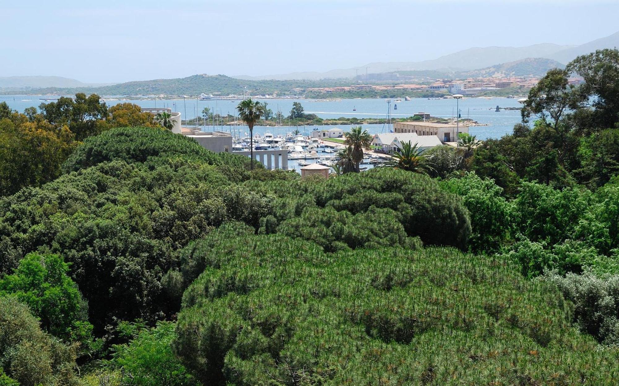 Hotel For Olbia